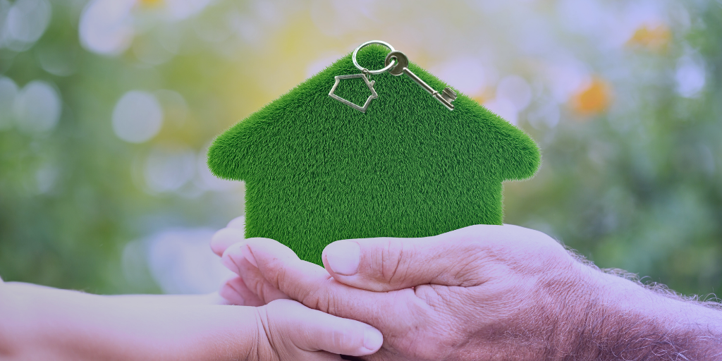 Eco-Friendly Property Upgrades That Tenants Will Love in 2025